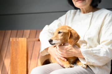 「あれは何⁉ どうして犬がいるの⁉」10年以上一緒に暮らした愛犬を忘れた義母…介護する嫁が感じた介護の限界