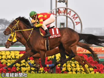 【ステイヤーズＳ】勝ちの見えない馬番がある!? 過去10年の傾向から見えてくる”買えない馬”とは