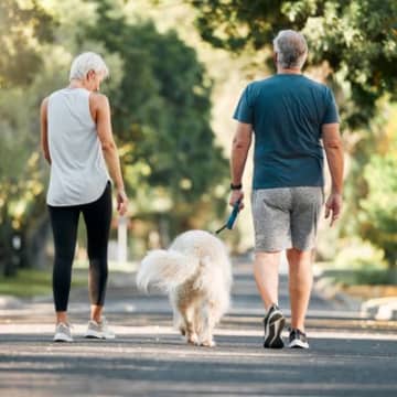 高齢犬に絶対NGな『散歩方法』５選　体に悪影響をもたらすリスクや改善策まで