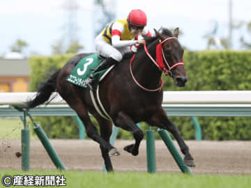 【鳴尾記念】騎手＆人気から絞り込む！ 過去10年のデータから考える軸馬の選び方
