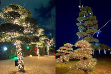 神奈川・座間で光の中で打つ新感覚ゴルフ体験！「ZAMA GOLF ナイトイルミネーション 2025」
