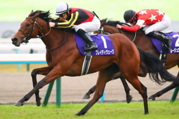 ブレイディヴェーグの登録抹消…ノーザンファーム繁殖入り