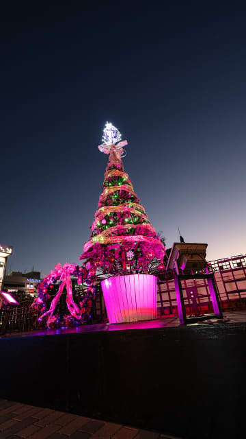 【若林直樹のトラベルフォトギャラリー】多摩センターイルミネーション（東京都）