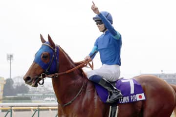 レモンポップ 種牡馬として人気沸騰の砂の絶対王者 普段は「草食系男子」【もうひとつの引退馬伝説2】