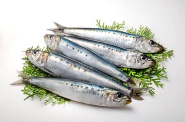 料理研究家リュウジ『鰯（イワシ）の一番美味しい食べ方』を伝授！ネットでも大反響「めちゃくちゃうまい…！」「下処理がこんなカンタンだったとは…」「いつにも増して神回」