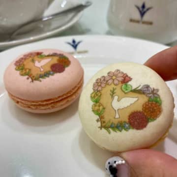 花が心を彩り、鳩が想いを届ける!ブールミッシュのピースフルマカロン2年目始動!