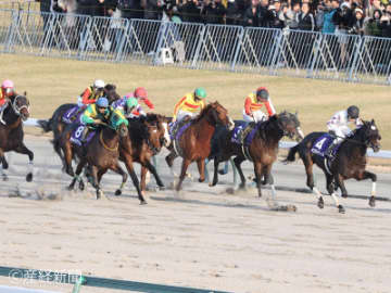 【チャンピオンズカップ】関東馬はベタ買いしても複回値はプラス！3連単を的中させる相手馬の狙い方