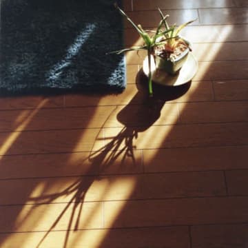 ルルルルズ、連続リリース2作目となる「symp.」を配信リリース