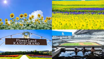 【2025】北海道のおすすめひまわり畑10選！