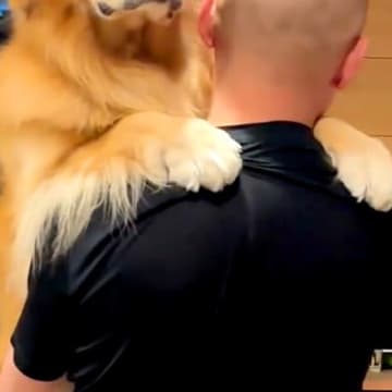 お父さんに抱っこをせがむ大型犬→なぜか元気がなくて…不機嫌になった『可愛すぎる理由』が151万再生「お口がへの字ｗ」「正直でよろしいｗ」