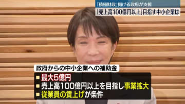 「売上高100億円以上」目指す中小企業　支援進める政府