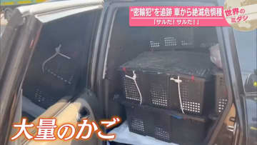 「サルだ！サルだ！」“密輸犯”を追跡…車から絶滅危惧種　タイ【 #世界のミダシ 】