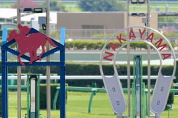 【ステイヤーズS】暮れの名物レースを制覇したのは牝馬のホーエリート