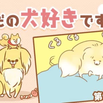 ただの犬好きです。【第339話】「寝床」