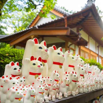 猫にゆかりのある『神社・お寺』8選　猫好きなら足を運びたくなる理由やおすすめポイントをご紹介
