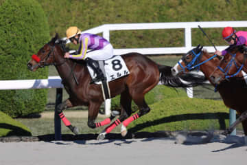 【新馬/阪神6R】外国産エルルがデビューV…ヤウポン産駒