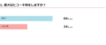 【調査】愛犬はヒコーキ耳をする？　行動の心理なども獣医師が解説