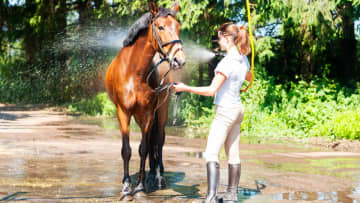 馬のツヤツヤな毛艶の秘密