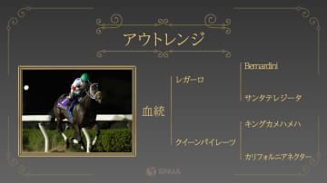 【チャンピオンズC】希少なレガーロ産駒アウトレンジの一発に期待　母父キングカメハメハも加点材料