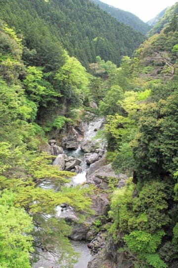 穏やかで素直な性格の人が多い三多摩の東京人【県と県民性の面白雑学　東京編③】