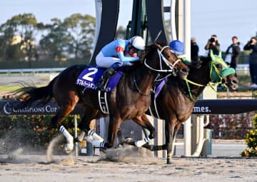 ダブルハートボンドが優勝　競馬のG1チャンピオンズカップ