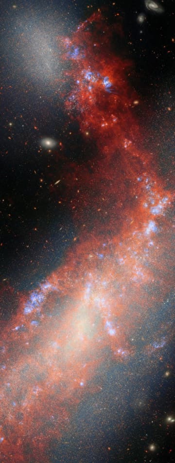 銀河をつなぐ壮大なガスの“橋”　ウェッブとハッブルが観測した「NGC 4485」＆「NGC 4490」