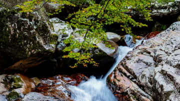 キャニオニングの聖地、秋景色～愛媛県松野町・滑床渓谷～ニッポンを歩こう172
