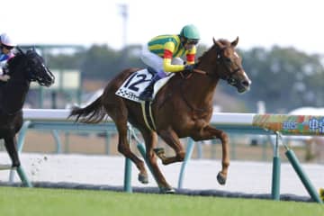 【新馬/中京5R】武豊ゴーゴーリチャードがデビューV