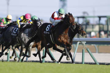 須貝尚介調教師 JRA通算600勝達成