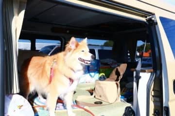 犬と車中泊の旅の総括と反省点【穴澤賢の犬のはなし】