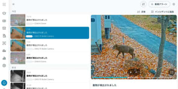 Verkadaのクラウドカメラ、AIによる「動物検知」機能を提供開始