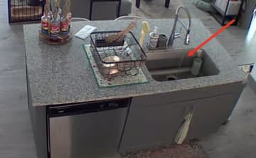 このイタズラは困る（涙）水道をひねるワザを覚えてしまった猫、飼い主は職場から帰宅するハメに…