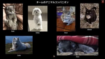 ゲームメニューに「ペット」！？ウクライナ産3Dダンジョン探索RPGの変わったタイトル項目が話題に