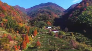 詩情漂う彩り豊かな初冬の山野　中国・安徽省池州市