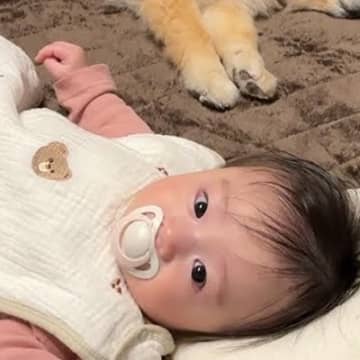 『赤ちゃんの寝かしつけ』に途中参加してきた犬→思っていたのと違う『まさかの光景』が7万再生「なんて可愛い」「心が和んだ」「幸せな時間」