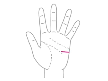 ライバルや競争相手がいると伸びる人が持つ『ライバル線』とは！？【手相の教科書】