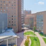 和洋女子大学　2026年度併願制の選抜において手続き後の受験生に入学金返還