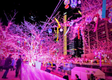 使用済み食用油が“39万個の桜”を輝かす「目黒川みんなのイルミネーション2025」大崎～五反田｜2026年1月末まで