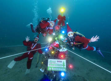 海中ツリー、飾りきらめく　和歌山・串本のクリスマス