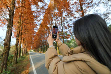 武夷山で冬景色を楽しむ　中国福建省