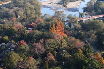 中国・武夷山国家公園　武夷宮風景区の鮮やかな冬