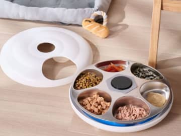 ウェットフードにも対応した自動給餌器　6食分入る