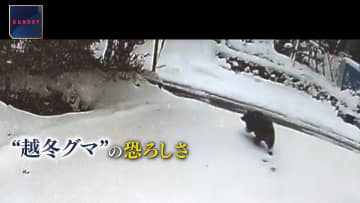 視界の外から突然襲われる恐怖…大雪降るも「雪かきできない」　住宅街で襲撃“越冬グマ”を独自追跡　ドローンにクマの姿も