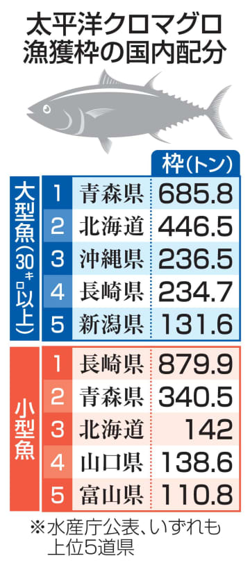クロマグロ漁獲枠、配分据え置き　26年度、大型魚は青森が最多