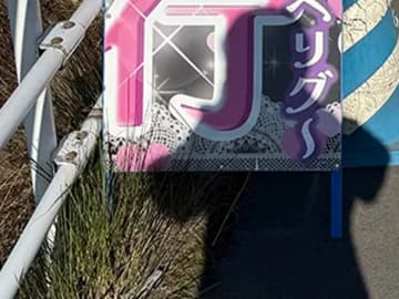 栃木の道路で見かけた、ド派手な看板　異色のデザインに「ギャルが工事してる？」