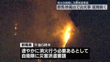 妙義山で山火事　延焼続く　群馬県、自衛隊に災害派遣要請