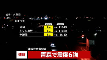 【市町村震度】震度6強が青森三八上北、震度5強が渡島東部・青森下北・岩手内陸北部震度、5弱が日高東部・岩手沿岸北部・十勝南部など