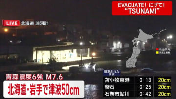 【速報】苫東厚真火力発電所2号機、地震発生直後に緊急停止 北海道電力