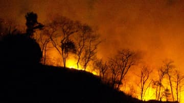 群馬県が自衛隊に災害派遣要請…妙義山で山林火災　少なくとも8ヘクタール以上焼け延焼中　9日朝消火活動再開へ