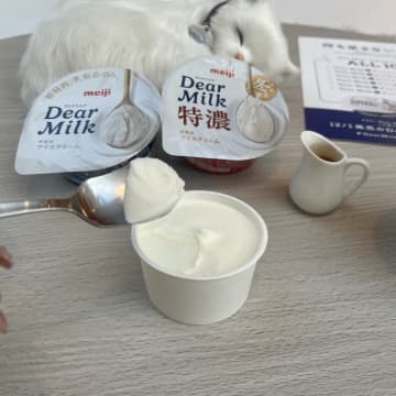 【東京】こたつでアイスが楽しめる”何も足さない？カフェ”が期間限定でオープン♪